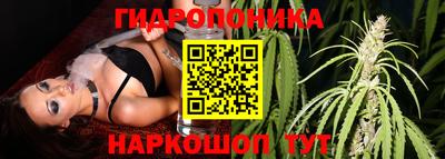 бошки Будённовск