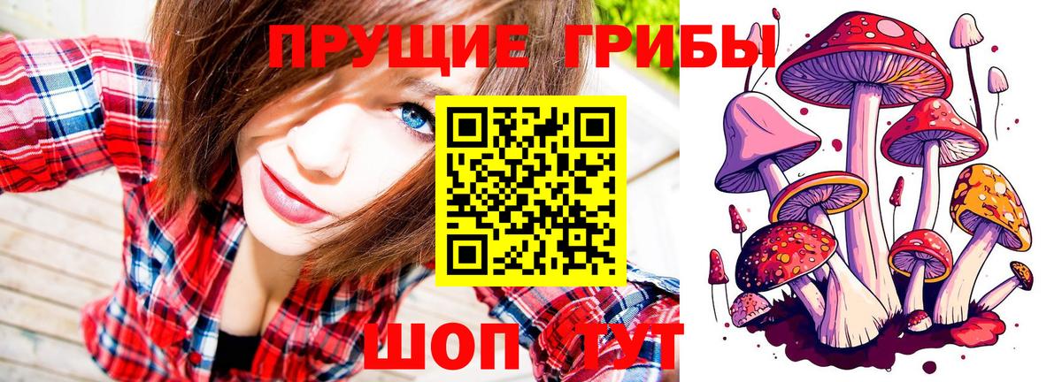 Псилоцибиновые грибы Cubensis Тюмень