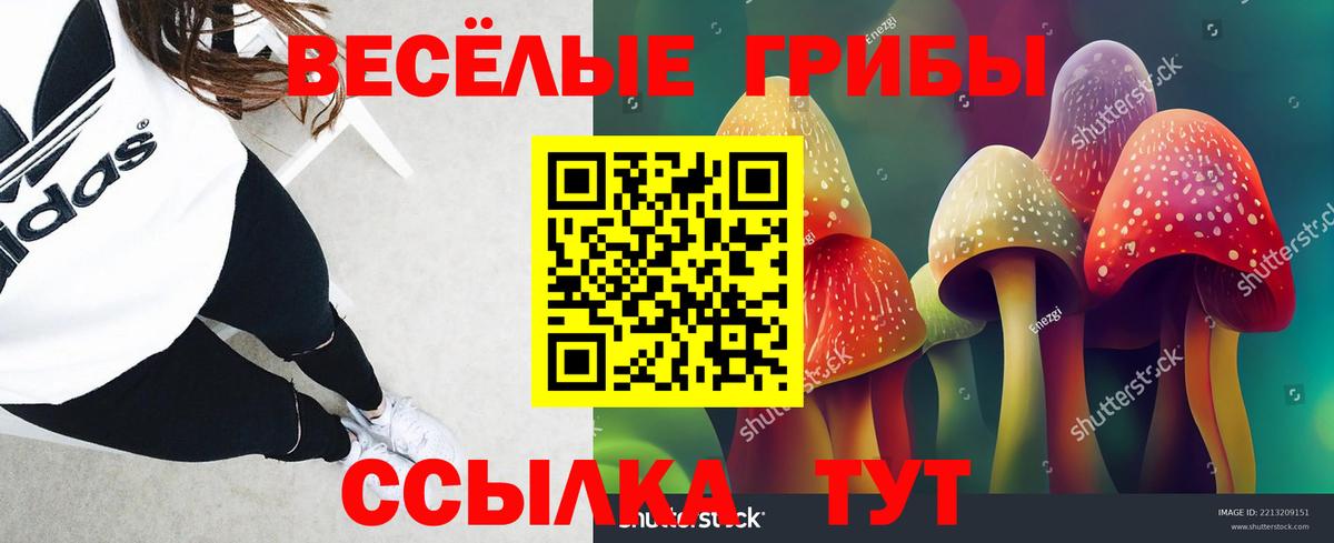 Галлюциногенные грибы ЛСД  Галлюциногенные грибы Psilocybe  Тюмень  Вход с VPN 