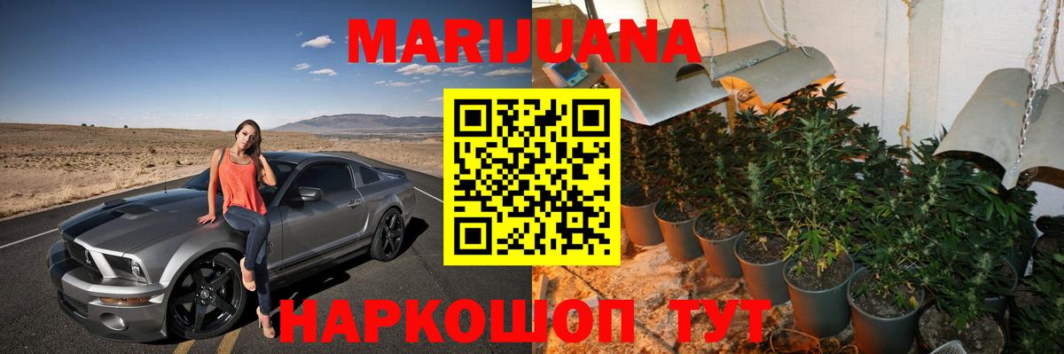 Конопля план Тюмень